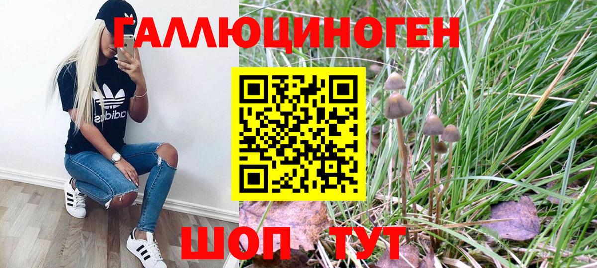Псилоцибиновые грибы Magic Shrooms Фурманов